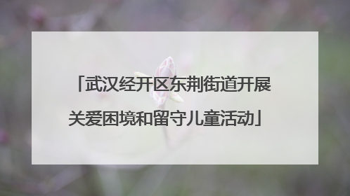 武汉经开区东荆街道开展关爱困境和留守儿童活动