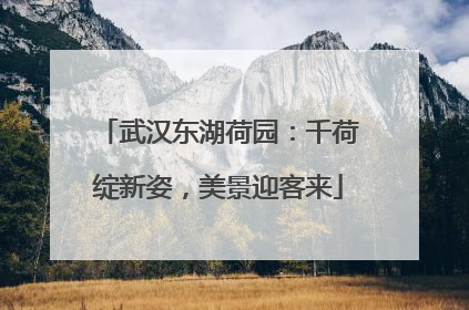 武汉东湖荷园：千荷绽新姿，美景迎客来