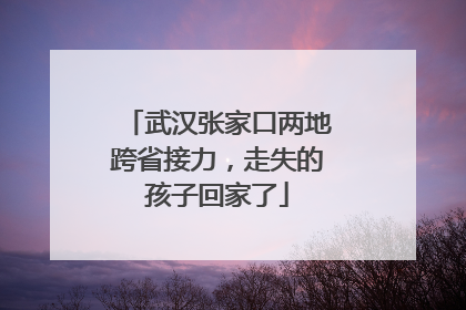 武汉张家口两地跨省接力，走失的孩子回家了