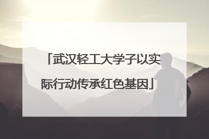 武汉轻工大学子以实际行动传承红色基因