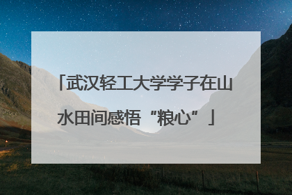 武汉轻工大学学子在山水田间感悟“粮心”