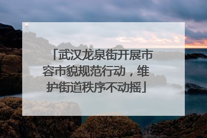 武汉龙泉街开展市容市貌规范行动，维护街道秩序不动摇