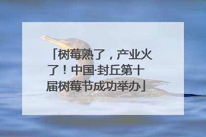 树莓熟了，产业火了！中国·封丘第十届树莓节成功举办