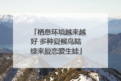栖息环境越来越好 多种夏候鸟陆续来厦恋爱生娃
