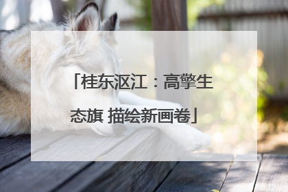桂东沤江：高擎生态旗 描绘新画卷