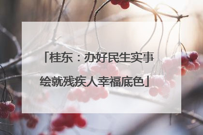 桂东：办好民生实事 绘就残疾人幸福底色