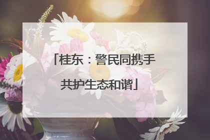 桂东：警民同携手 共护生态和谐