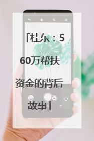 桂东：560万帮扶资金的背后故事
