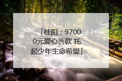 桂阳：97000元爱心善款 托起少年生命希望
