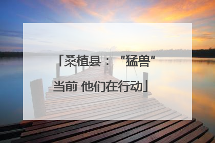 桑植县：“猛兽”当前 他们在行动
