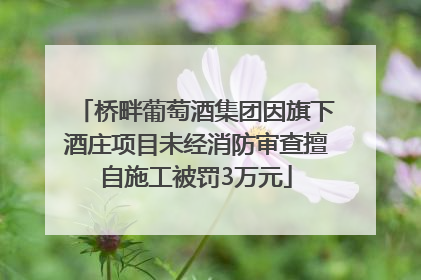 桥畔葡萄酒集团因旗下酒庄项目未经消防审查擅自施工被罚3万元