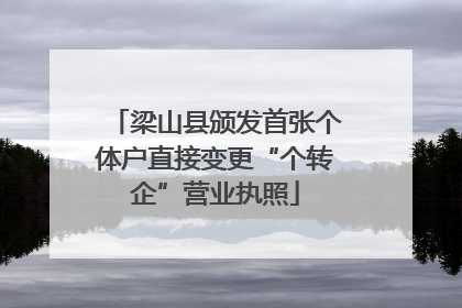 梁山县颁发首张个体户直接变更“个转企”营业执照