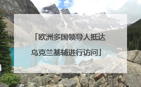 欧洲多国领导人抵达乌克兰基辅进行访问