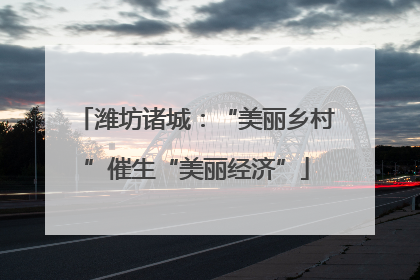 潍坊诸城：“美丽乡村”催生“美丽经济”