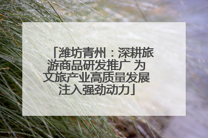 潍坊青州：深耕旅游商品研发推广 为文旅产业高质量发展注入强劲动力