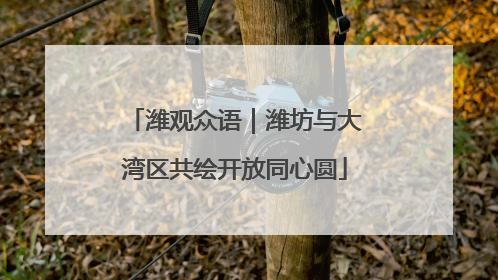 潍观众语｜潍坊与大湾区共绘开放同心圆