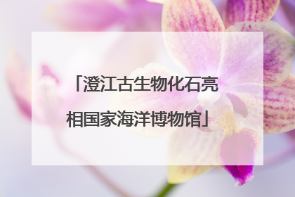 澄江古生物化石亮相国家海洋博物馆
