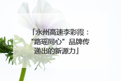 永州高速李彩霞：“路瑶同心”品牌传递出的新源力