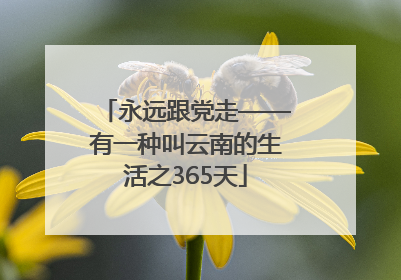 永远跟党走——有一种叫云南的生活之365天