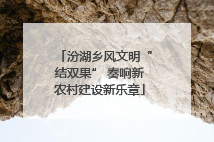 汾湖乡风文明“结双果” 奏响新农村建设新乐章