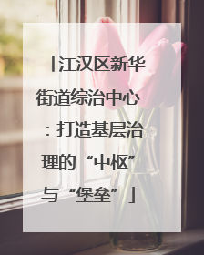 江汉区新华街道综治中心：打造基层治理的“中枢”与“堡垒”