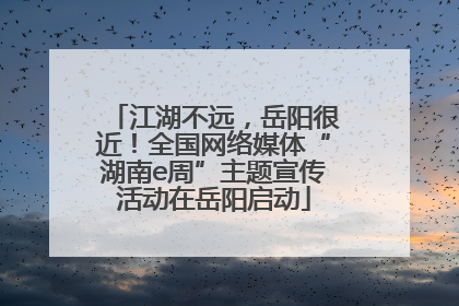 江湖不远，岳阳很近！全国网络媒体“湖南e周”主题宣传活动在岳阳启动