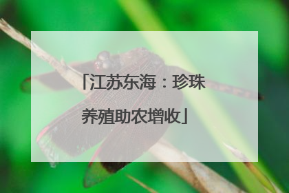 江苏东海：珍珠养殖助农增收