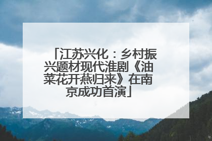 江苏兴化：乡村振兴题材现代淮剧《油菜花开燕归来》在南京成功首演