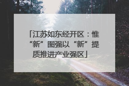 江苏如东经开区：惟“新”图强以“新”提质推进产业强区
