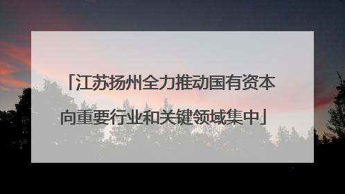 江苏扬州全力推动国有资本向重要行业和关键领域集中