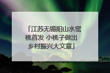 江苏无锡阳山水蜜桃首发 小桃子做出乡村振兴大文章