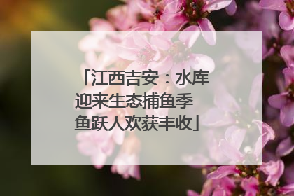 江西吉安：水库迎来生态捕鱼季 鱼跃人欢获丰收