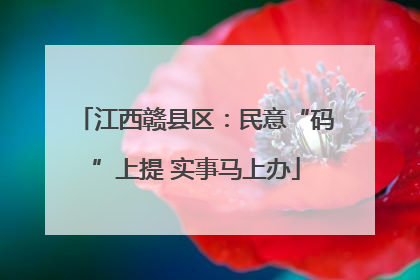 江西赣县区：民意“码”上提 实事马上办