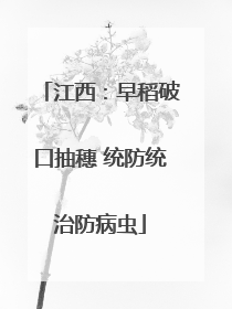 江西：早稻破口抽穗 统防统治防病虫