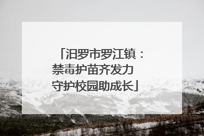 汨罗市罗江镇：禁毒护苗齐发力 守护校园助成长