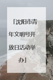 沈阳市青年文明号开放日活动举办