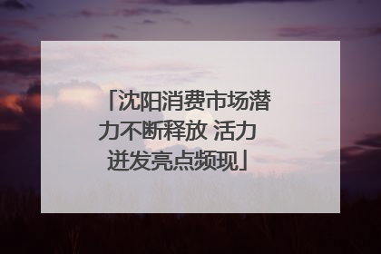 沈阳消费市场潜力不断释放 活力迸发亮点频现
