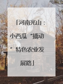 河南光山：小西瓜“撬动”特色农业发展路