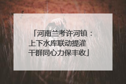 河南兰考许河镇：上下水库联动提灌 干群同心力保丰收