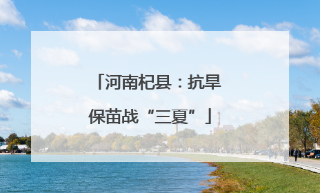 河南杞县：抗旱保苗战“三夏”