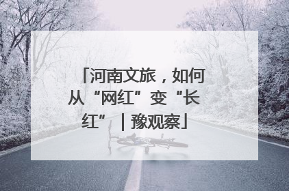 河南文旅，如何从“网红”变“长红”｜豫观察