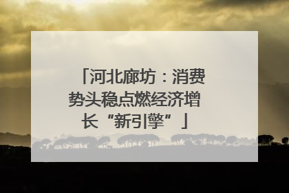 河北廊坊：消费势头稳点燃经济增长“新引擎”