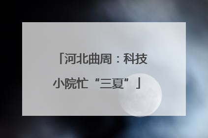 河北曲周：科技小院忙“三夏”