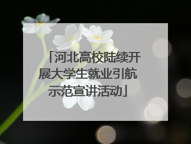河北高校陆续开展大学生就业引航示范宣讲活动