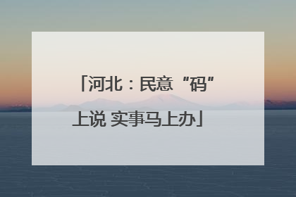 河北：民意“码”上说 实事马上办