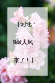 河北：9级大风来了！