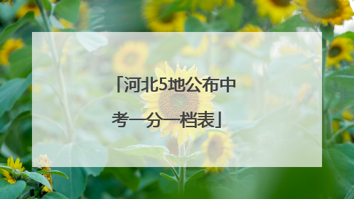 河北5地公布中考一分一档表