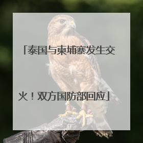 泰国与柬埔寨发生交火！双方国防部回应