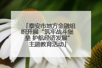 泰安市地方金融组织开展“筑牢战斗堡垒 护航经济发展”主题教育活动