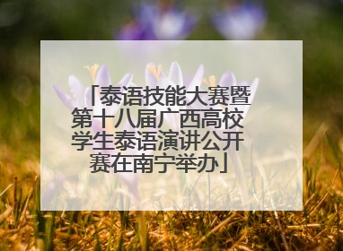 泰语技能大赛暨第十八届广西高校学生泰语演讲公开赛在南宁举办